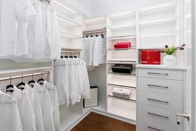 240 Commonwealth Ave Unit 2, Boston, MA 02116 - spacious closet with dark wood finished floors