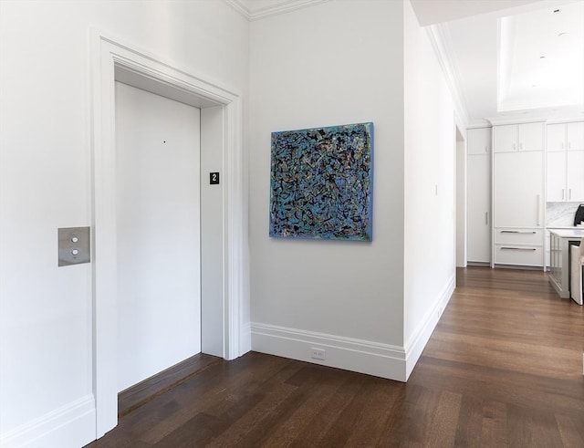 240 Commonwealth Ave Unit 2, Boston, MA 02116 - hall with dark wood-style flooring, crown molding, elevator, and baseboards