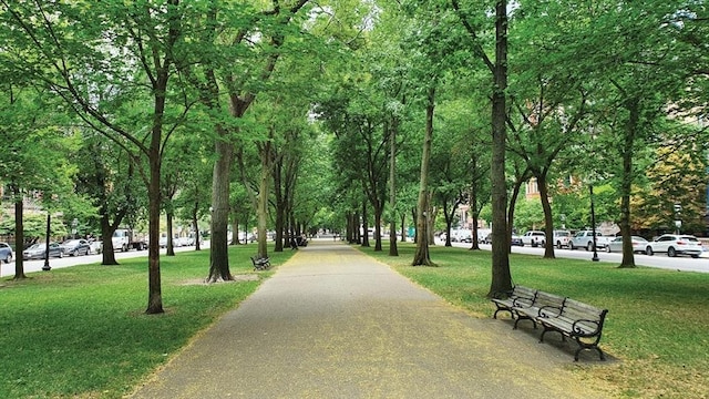 240 Commonwealth Ave Unit 2, Boston, MA 02116 - view of home's community with a yard