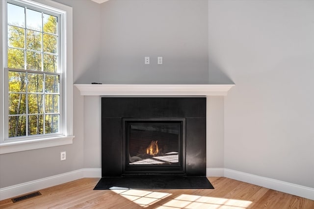 interior details with hardwood / wood-style flooring