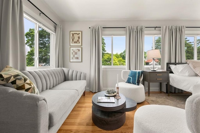 34 Leniston St Unit 2, Boston, MA 02131 - living area featuring baseboards and light wood finished floors
