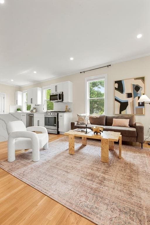 34 Leniston St Unit 2, Boston, MA 02131 - living room with light wood-type flooring, crown molding, and recessed lighting