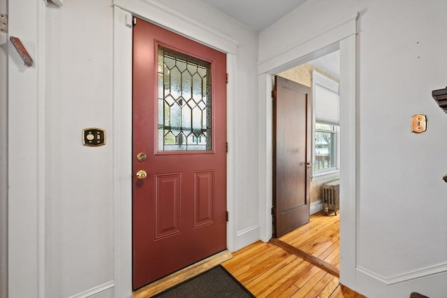 foyer with light wood-style floors, baseboards, and a healthy amount of sunlight