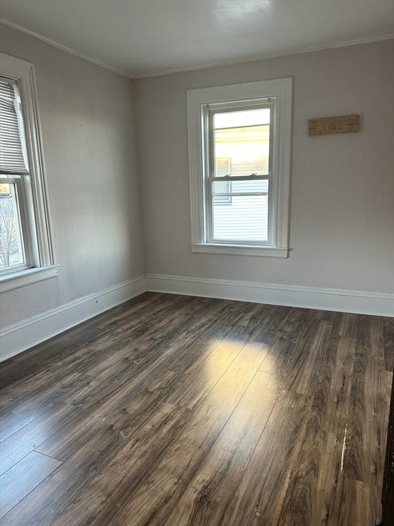 spare room with dark wood-type flooring, ornamental molding, and plenty of natural light