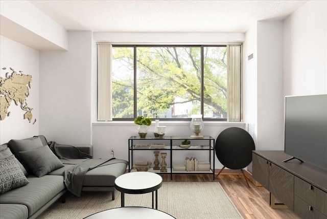 169 Monsignor Obrien Hwy Unit 206, Cambridge, MA 02141 - living area featuring plenty of natural light and light wood-style floors