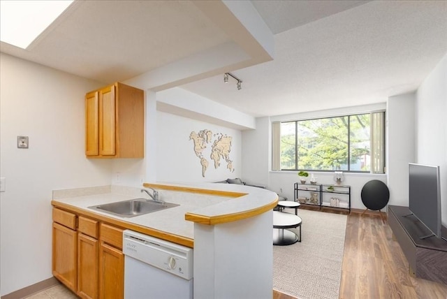 169 Monsignor Obrien Hwy Unit 206, Cambridge, MA 02141 - kitchen featuring dishwasher, a sink, open floor plan, track lighting, and light countertops