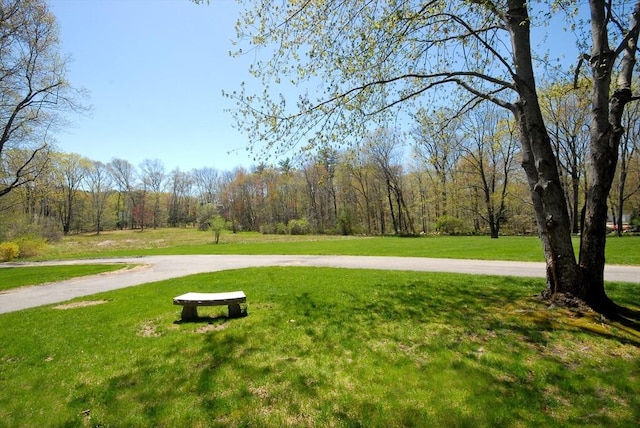 view of community with a wooded view and a lawn
