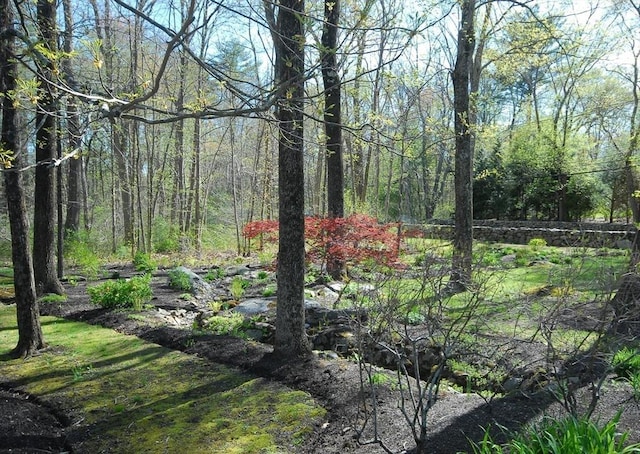 view of local wilderness with a forest view
