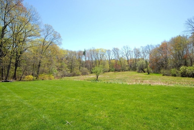 view of yard featuring a forest view