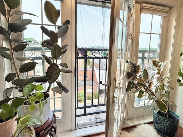 300 Allston St Unit 511, Boston, MA 02135 - doorway featuring a water view, healthy amount of natural light, french doors, and wood finished floors