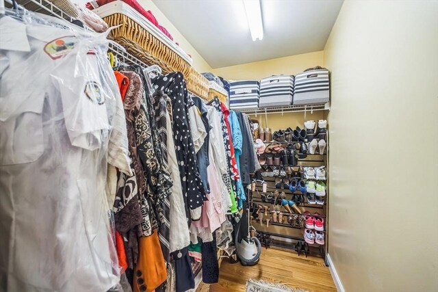 spacious closet featuring wood finished floors