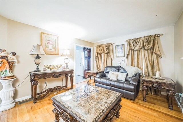 living room featuring light wood-style flooring