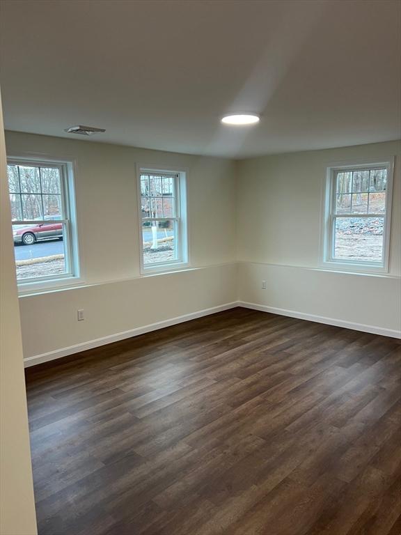 unfurnished room featuring dark wood-type flooring and plenty of natural light