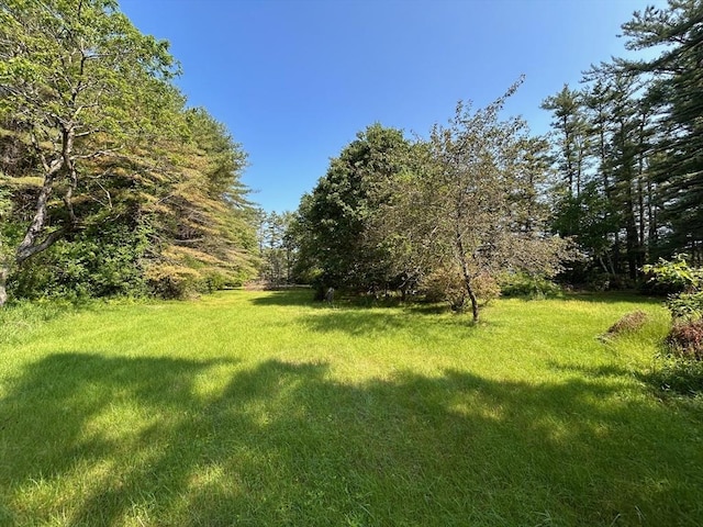 270 Holtshire Rd, Orange, MA 01364 - view of grassy yard