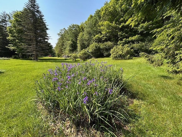 270 Holtshire Rd, Orange, MA 01364 - view of grassy yard