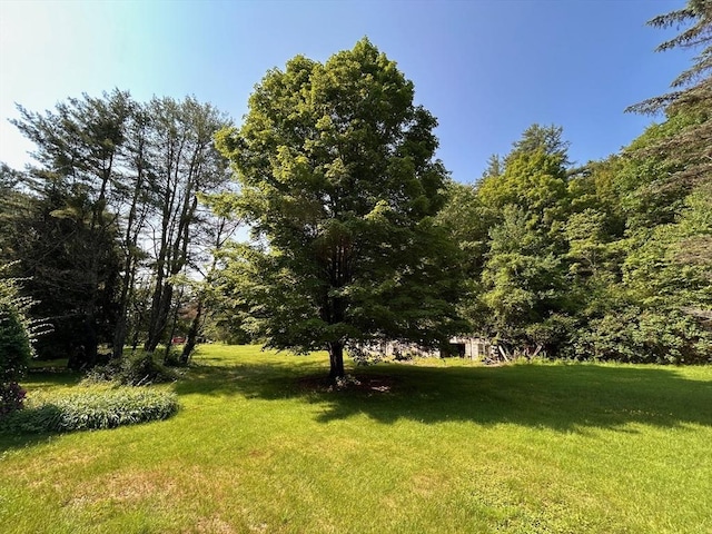 270 Holtshire Rd, Orange, MA 01364 - view of green lawn