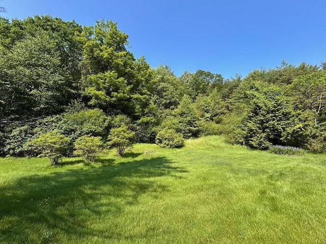 270 Holtshire Rd, Orange, MA 01364 - view of grassy yard