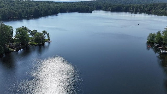 270 Holtshire Rd, Orange, MA 01364 - water view featuring a heavily wooded area