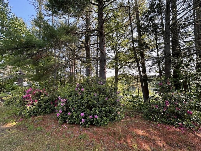 270 Holtshire Rd, Orange, MA 01364 - view of yard