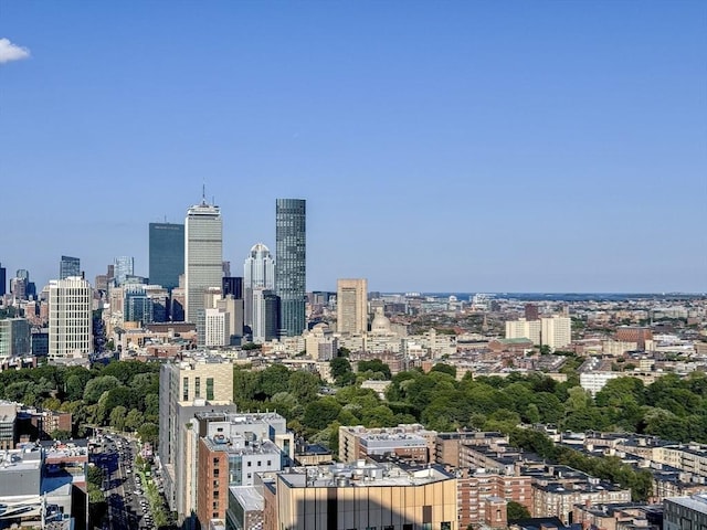 188 Brookline Ave Unit Ph29A, Boston, MA 02215 - skyline view