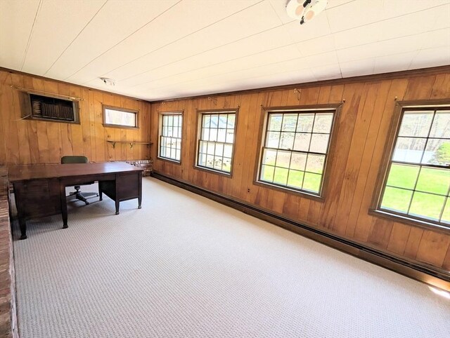 carpeted office space with wooden walls and a healthy amount of sunlight