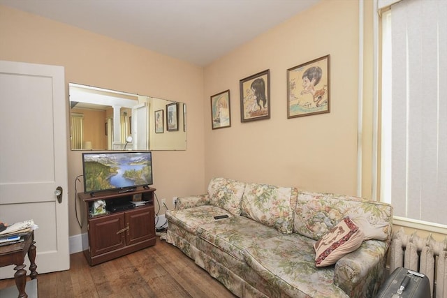 living room with hardwood / wood-style flooring and radiator heating unit