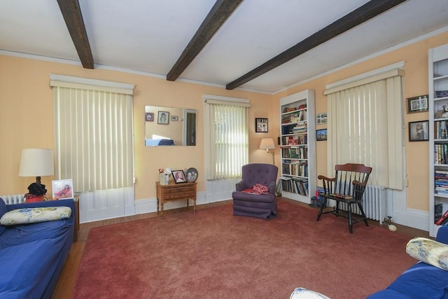 living area with radiator, crown molding, and carpet flooring