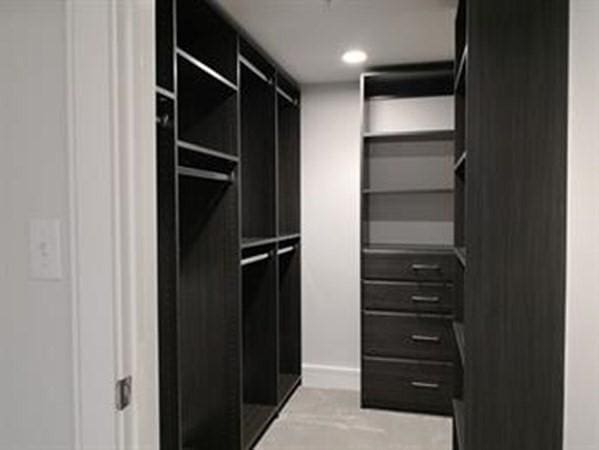 262 Monsignor Obrien Hwy Unit 503, Cambridge, MA 02141 - view of walk in closet
