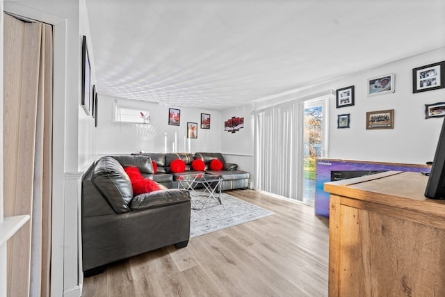 living room with light wood-type flooring