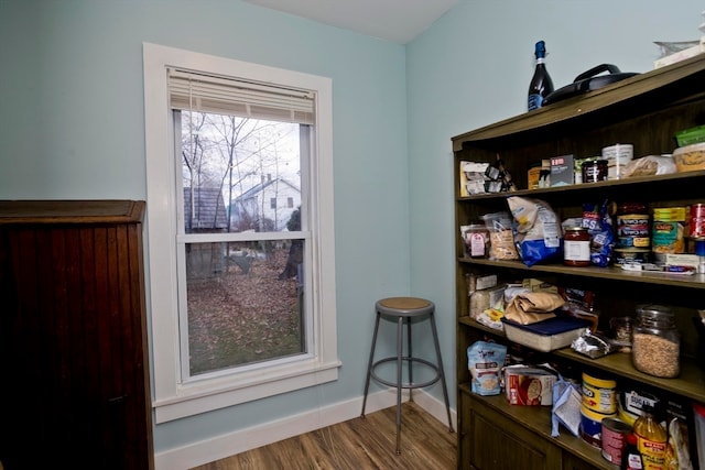 interior space featuring hardwood / wood-style floors