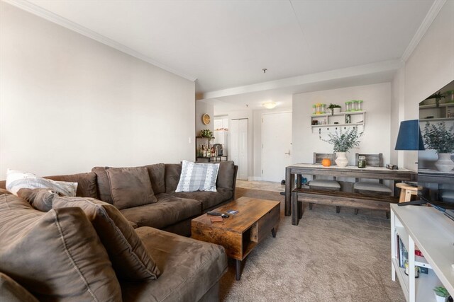 carpeted living room with ornamental molding