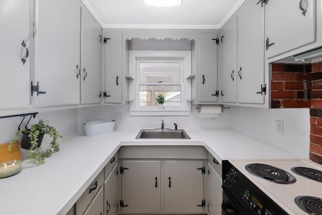 kitchen with gray cabinetry, range with electric stovetop, a sink, light countertops, and crown molding