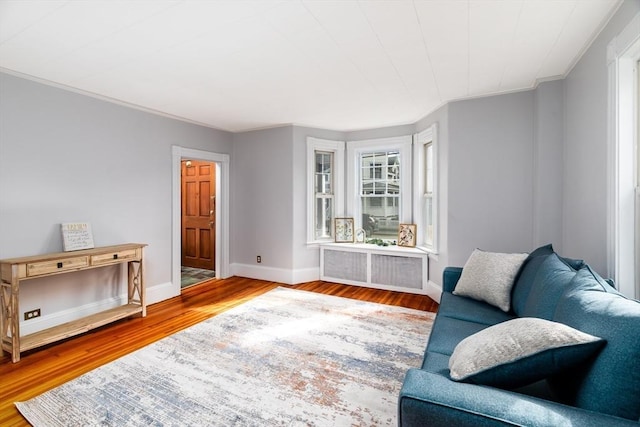 living area featuring crown molding, baseboards, and wood finished floors