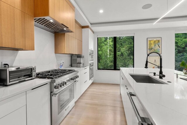 1242 Beacon St, Newton, MA 02468 - kitchen featuring stainless steel appliances, a sink, modern cabinets, wall chimney exhaust hood, and recessed lighting