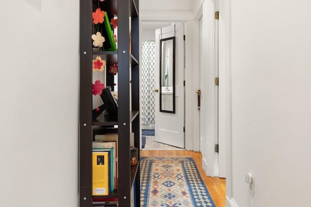 1750 Washington St Unit 2, Boston, MA 02118 - hall featuring wood finished floors