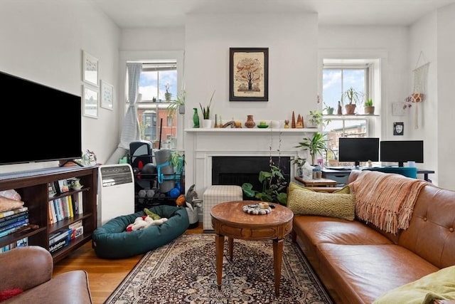 1750 Washington St Unit 2, Boston, MA 02118 - living room featuring wood finished floors and a fireplace