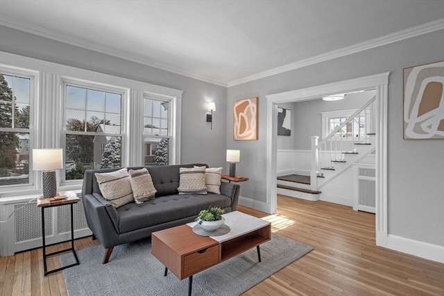 living room with crown molding, radiator heating unit, and light hardwood / wood-style floors