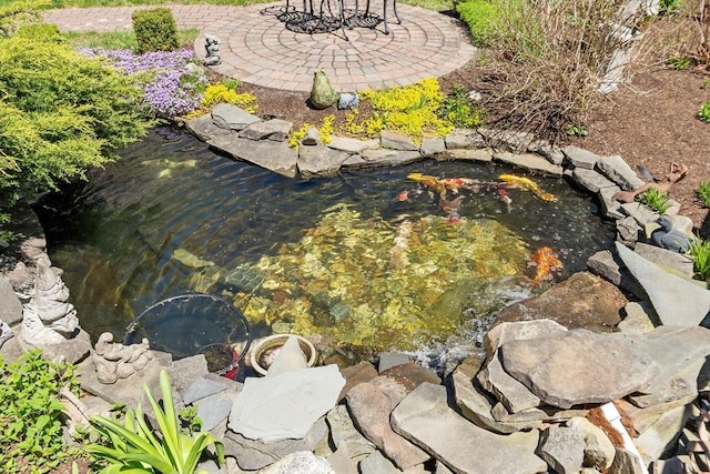 exterior space with a small pond