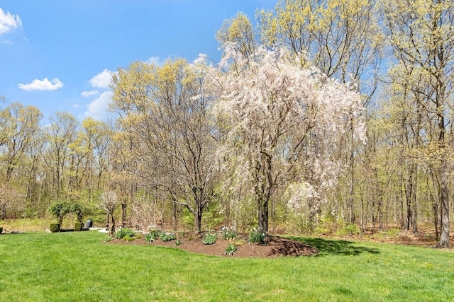 view of yard with a view of trees
