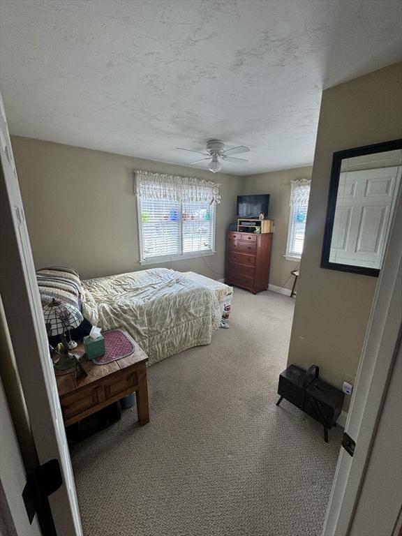 carpeted bedroom with multiple windows, ceiling fan, a textured ceiling, and baseboards