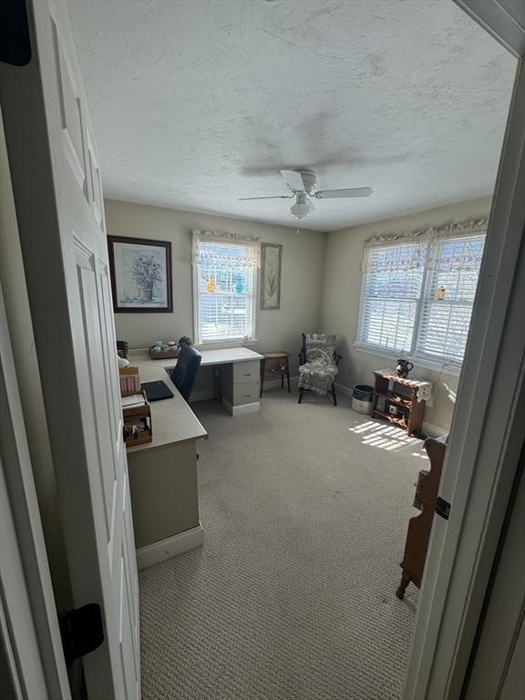 office with a textured ceiling, plenty of natural light, and carpet flooring