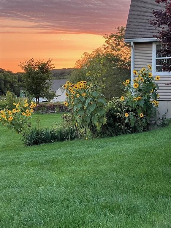 view of yard at dusk