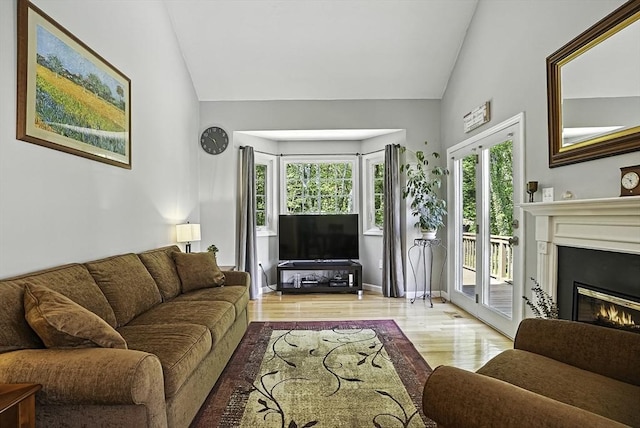 8 Birchwood Ln Unit 8, Hopkinton, MA 01748 - living room featuring vaulted ceiling, wood finished floors, and a glass covered fireplace