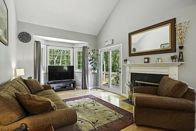 8 Birchwood Ln Unit 8, Hopkinton, MA 01748 - living room with wood finished floors, plenty of natural light, a glass covered fireplace, and high vaulted ceiling