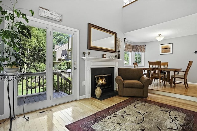 8 Birchwood Ln Unit 8, Hopkinton, MA 01748 - living room featuring wood finished floors and a glass covered fireplace