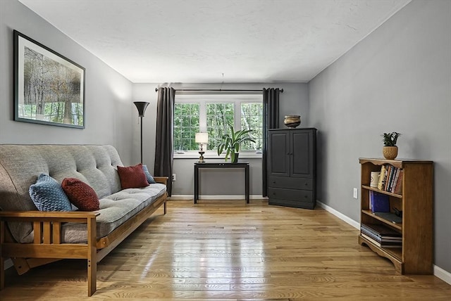 8 Birchwood Ln Unit 8, Hopkinton, MA 01748 - living room with light wood-style floors and baseboards