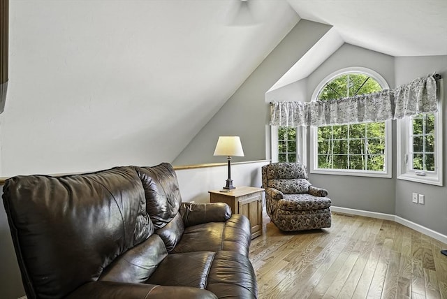 8 Birchwood Ln Unit 8, Hopkinton, MA 01748 - living room with lofted ceiling and light wood-style floors