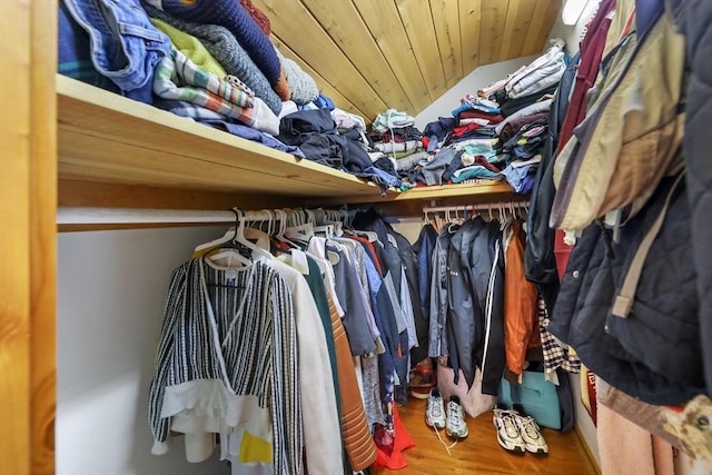 spacious closet with wood-type flooring