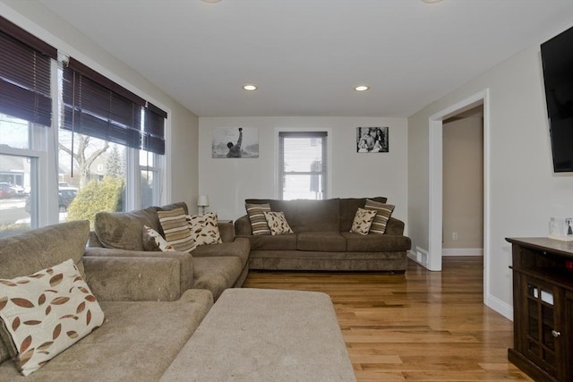 living room featuring wood-type flooring