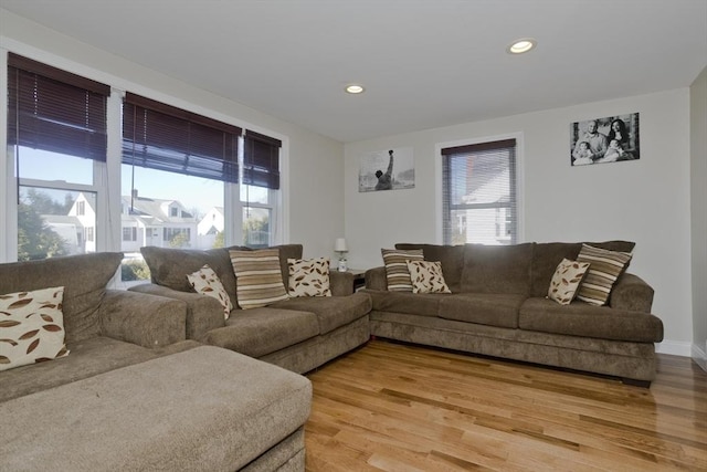 living room featuring hardwood / wood-style flooring and a wealth of natural light